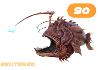 Anglerfish