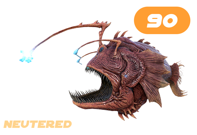 Anglerfish