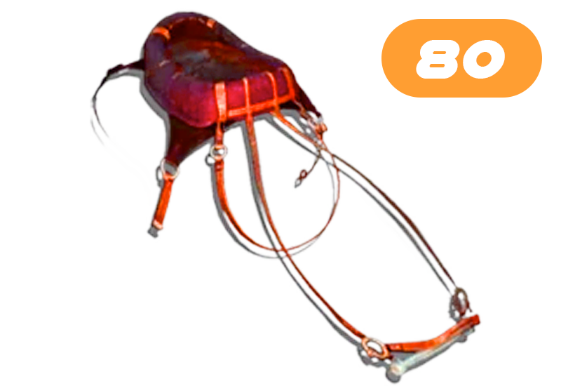 Argentavis Speed Saddle