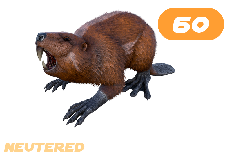 Casteroides