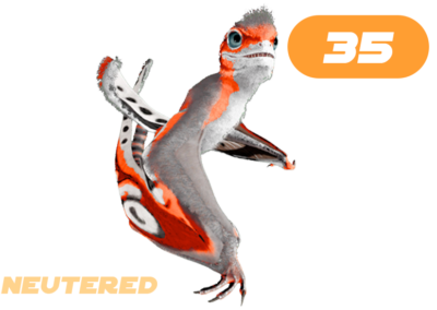 Sinomacrops
