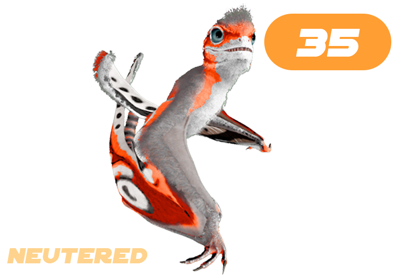 Sinomacrops